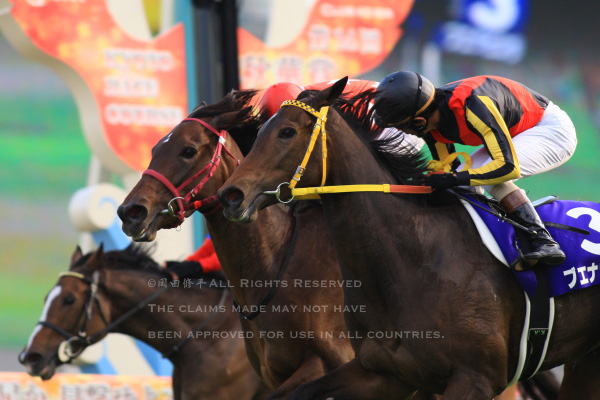 レッドディザイア ゼッケン ドバイワールドカップ 秋華賞 競馬 ウマ娘 