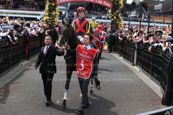 第155回メルボルンカップ (155th EmiratesMelbourneCup) プリンス