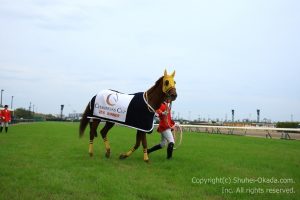 16チャンピオンズC12