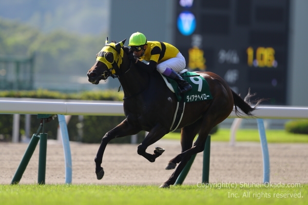17北九州記念4