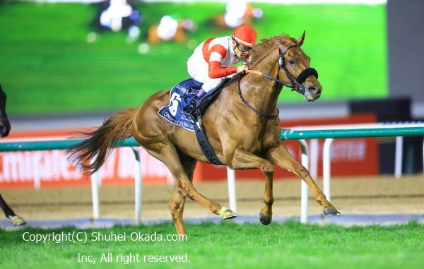 230405Dubai08OK040